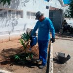 arborizacao1