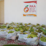 paa-01