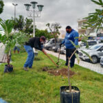 maio-ambiente-03