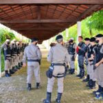 batch_IMG_2924