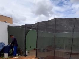 Prefeitura de Pombal lança o “Viveiro Municipal”