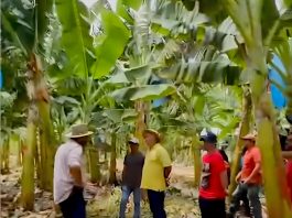 Prefeitura de Pombal envia agricultores para visita técnica no Rio Grande do Norte