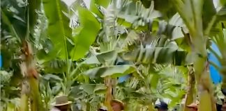 Prefeitura de Pombal envia agricultores para visita técnica no Rio Grande do Norte